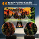 Кімнатна HDTV-антена QGClearSO DE-15806 для телевізорів з магнітною основою, сірий (my-19094)