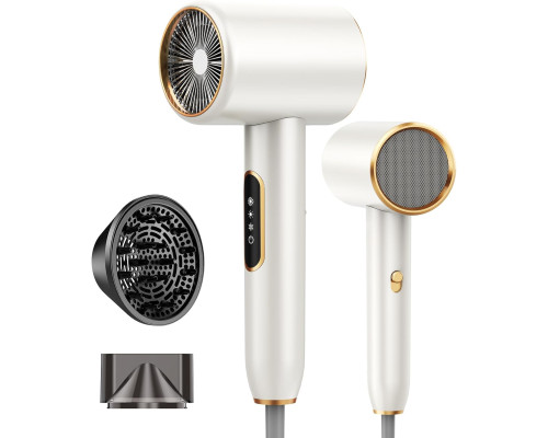 Професійний фен BAMBOO QUEEN Q8 з іонізацією 2400 Вт, сріблястий (my-19085)
