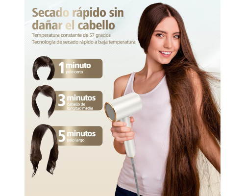 Професійний фен BAMBOO QUEEN Q8 з іонізацією 2400 Вт, сріблястий (my-19085)