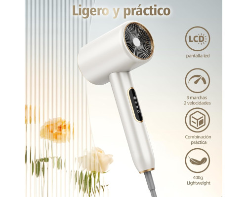 Професійний фен BAMBOO QUEEN Q8 з іонізацією 2400 Вт, сріблястий (my-19085)