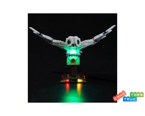 Lightailing Підсвічування для набору LEGO Harry Potter Букля (75979) (my-13094)