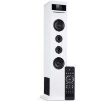 Акустична колонка Auna Karaboom 100 Wifi динамік інтернет радіо DAB+ BT 120W білий 10033150 (my-5079)