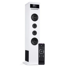 Акустична колонка Auna Karaboom 100 Wifi динамік інтернет радіо DAB+ BT 120W білий 10033150 (my-5079)