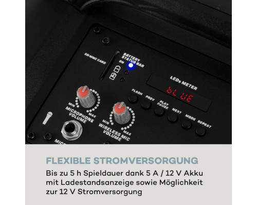 Мобільна акустична система динамік, караоке Auna Moving 80.1 LED PA, USB SD BT AUX 10033255 (my-5051)